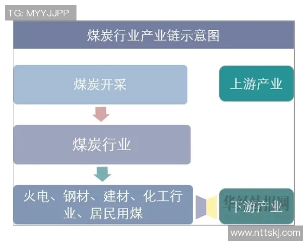 中国足球等级体系的现状分析与未来发展展望